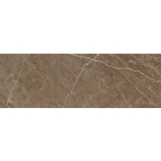 240037 MARBLE MARRONE ONICE LAPPATO Rect. 19,5x58,5