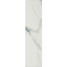 Ca Marmo White Polished 29,5x120