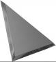 ТЗГ1-02 Треугольная зеркальная графитовая с фацетом 10 мм 20x20
