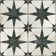 19136 Francisco Segarra Star-N 45x45