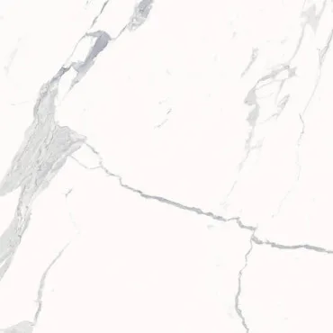 600010002386 Стелларис Статуарио Уайт 120х120 Рет Рект. Натуральный